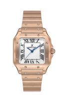 Наручные часы  Daniel Klein женские кварцевые 13583-6